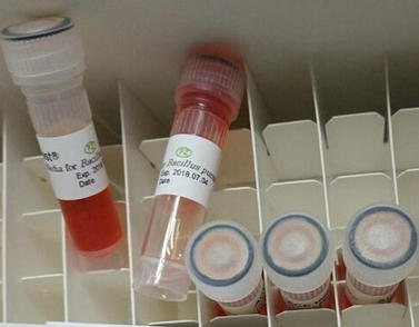 辐射灭菌生物指示剂H6304