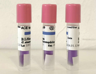 制药厂用压力蒸汽灭菌生物指示剂H3723T