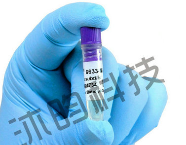 ATCC11437生孢梭菌 0代菌种 标准菌株