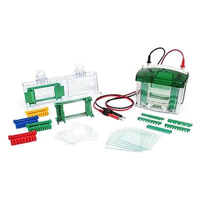 伯乐Bio-Rad 小型垂直电泳槽 1658001